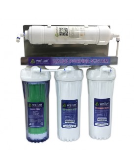 Wellon 20 LPH Household Antioxidant Alkaline Anti-bacterial Anti-ageing(AAAA) + UF Water Purifier System